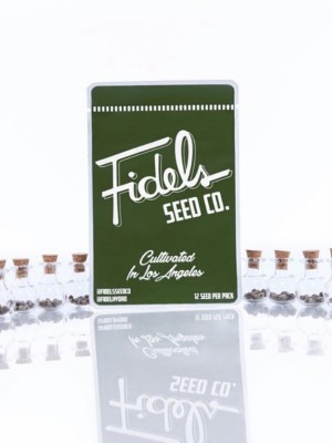 ALL TYPES OF GIRLS FIDELS SEED CO